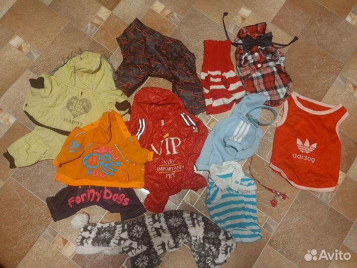 Одежда для маленьких собак