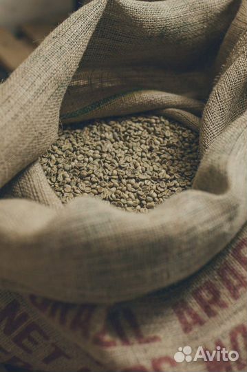 Кофе свежей Brown обжарки робуста оптом