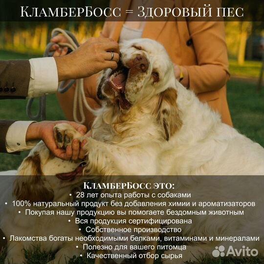 Лакомства для собак,вкусняшки для собак