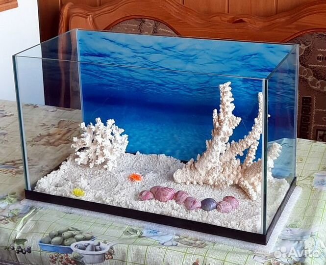 Аквариум