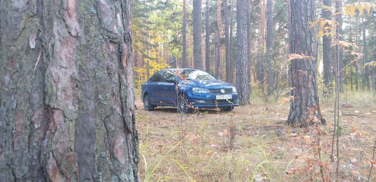 Volkswagen Polo: фото владельца