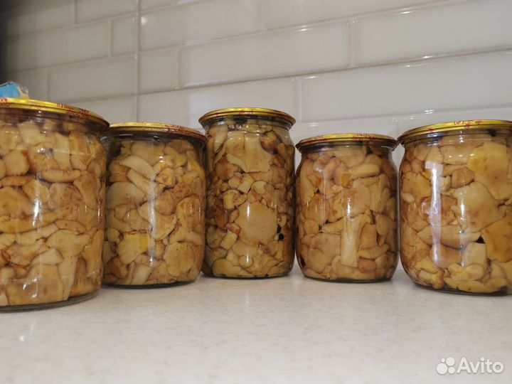 Грибы лисички