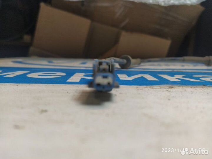 Датчик ABS передний Nissan Primera P12 01-08