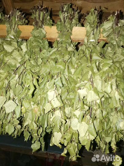 Веники для бани