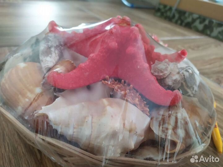 Наборы ракушек