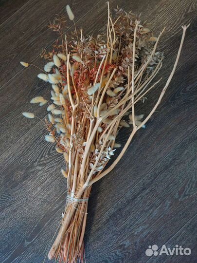 Сухоцветы