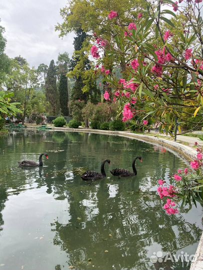 Туры в Абхазию