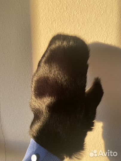 Варежка Ekonika