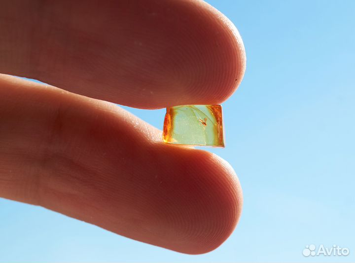 Натуральный балтийский янтарь с включением комара