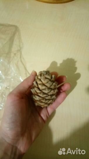 Кедровые шишки с орехами