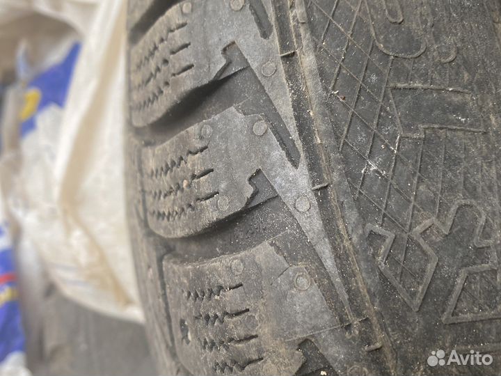 Gislaved Nord Frost 5 195/65 R15