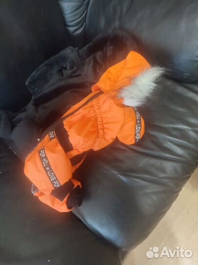 Одежда для собак