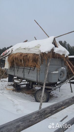 Продажа сена