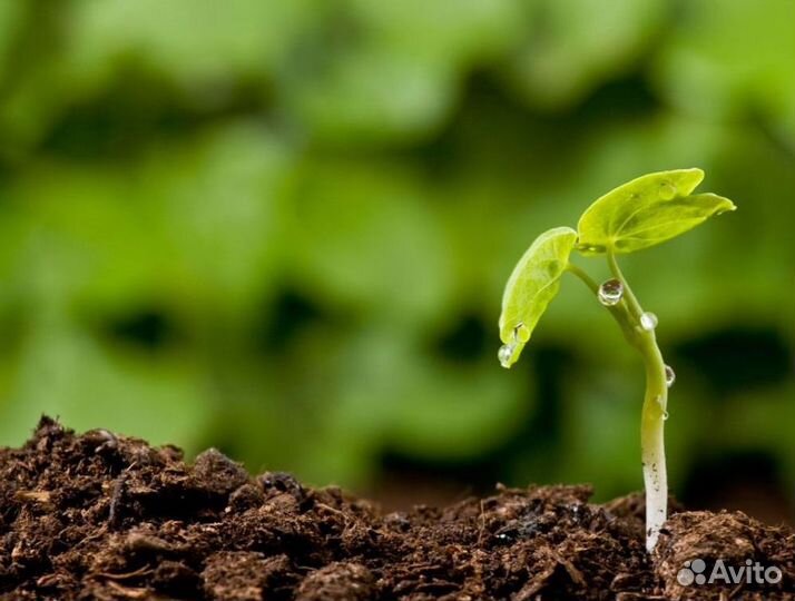 Торфосмесь