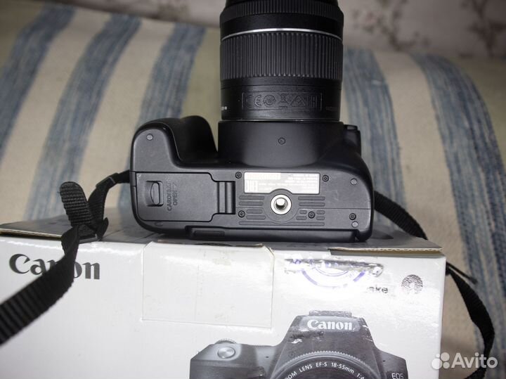 Фотоаппарат canon eos 250d