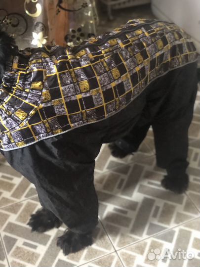 Дождевик для крупной собаки(сеттер)