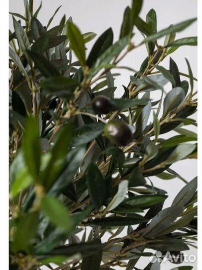 Искусственное дерево олива