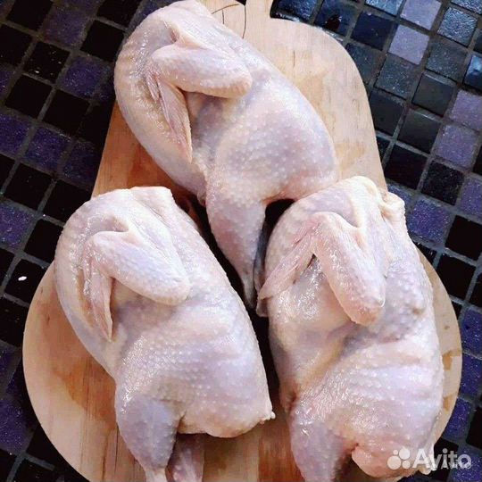 Мясо яйца перепелов