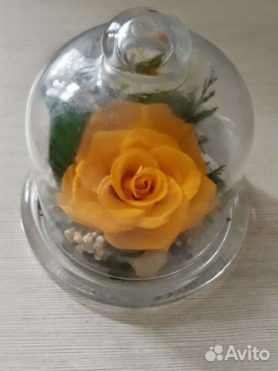 Предметы для кухни, сувениры