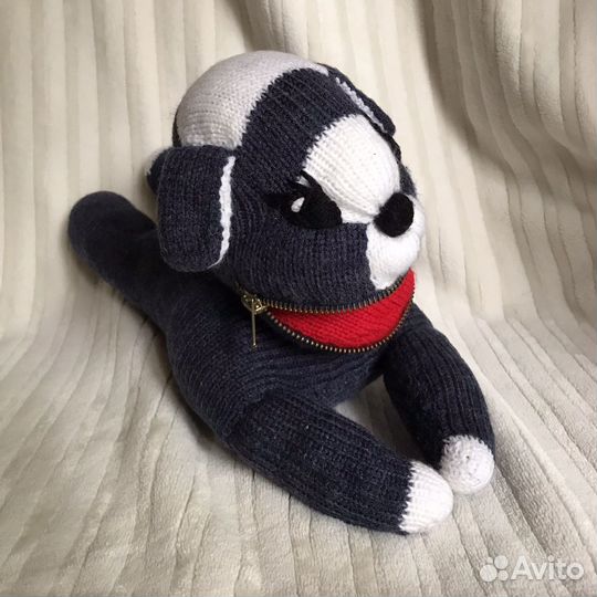 Собака с секретом