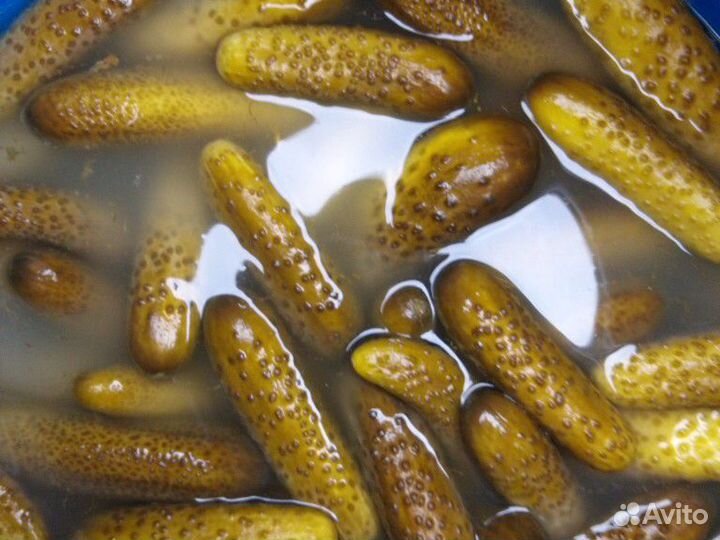 Огурцы солёные бочковые,набираю клиентов