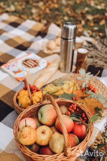 Осенние фотосессии