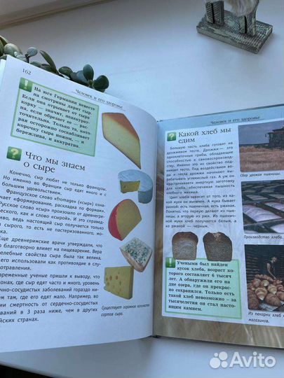 Энциклопедия для детей Аванта Что Когда Зачем