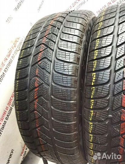 Pirelli Scorpion Winter 255/45 R20 105V