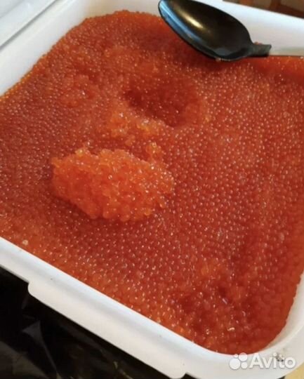 Икра горбуши путина 2023 год