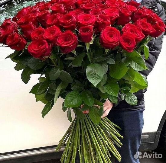 Высокие розы Гигантские розы Доставка цветов