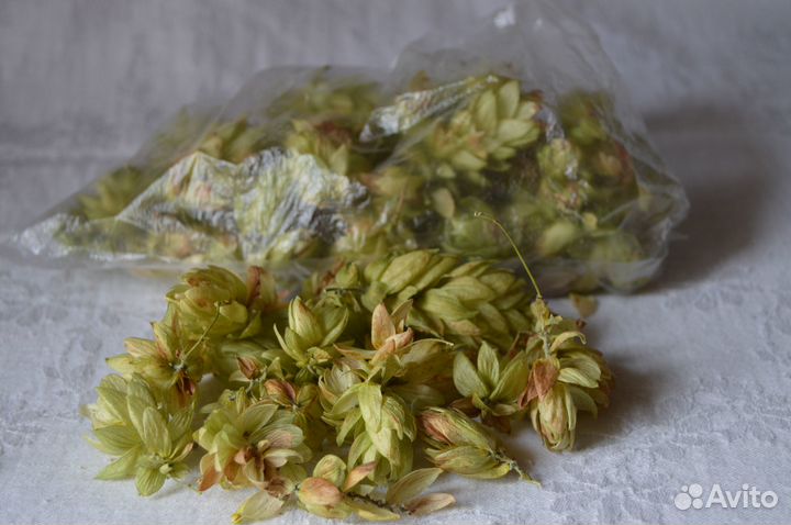 Шишки хмеля сушёные