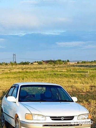 Трезвый водитель