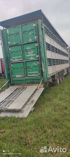 Перевозка. свиней. Баранов