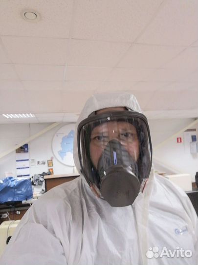 Травля тараканов и клопов