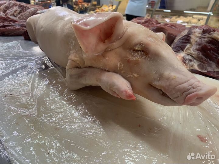 Молочные поросята