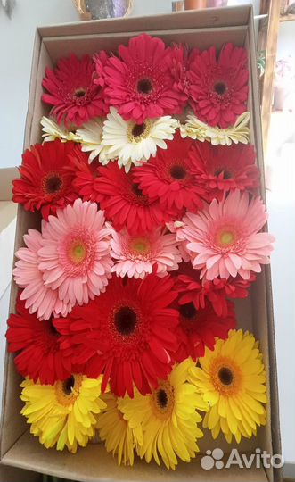 Розы в розницу