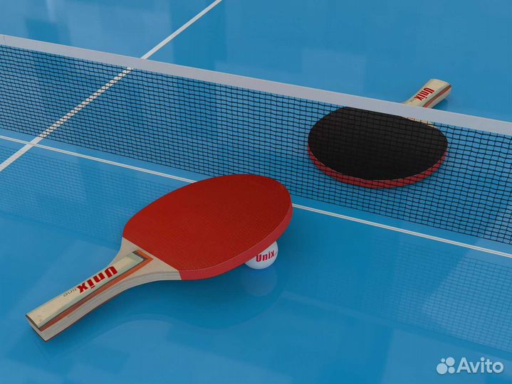 Теннисный стол Unix Line Outdoor 6mm v.1.17