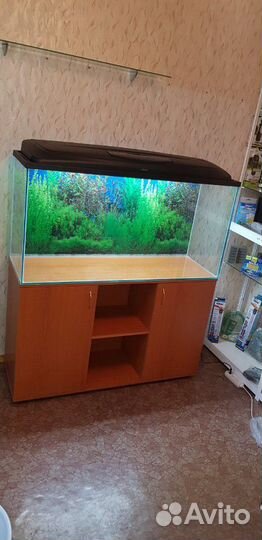Аквариум на 200-450 литров