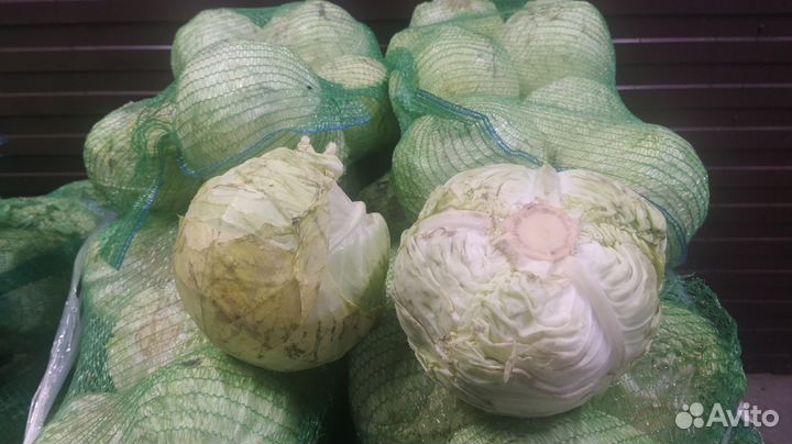 Капуста на переработку