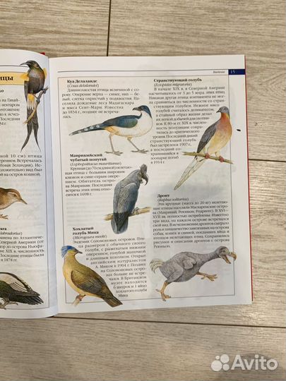 Энциклопедия красная книга России