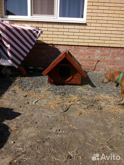 Будки для собак