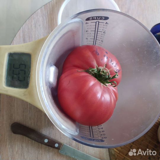 Коллекционные семена томата