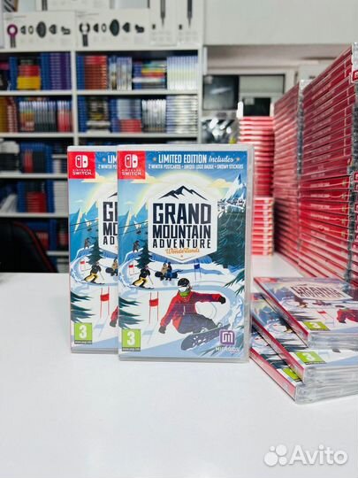 Nintendo Grand Mountain Adventure Wonderlands