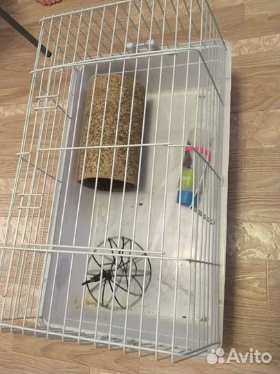 Клетка сенник для грызунов морских свинок поилка