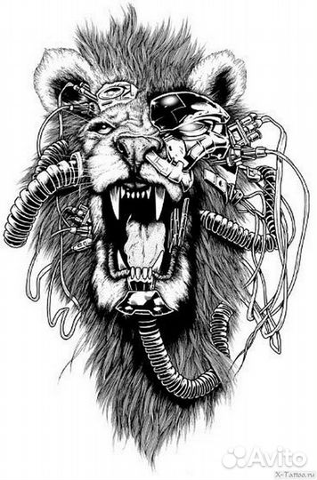 Ремонт электрооборудования Комбайнов акрос вектор