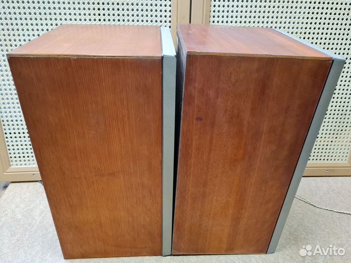 Колонки Вега 25ас 109