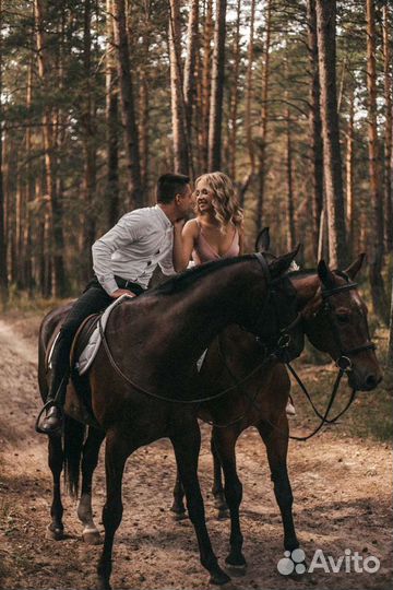 Конные прогулки и фотосессии в сосновке