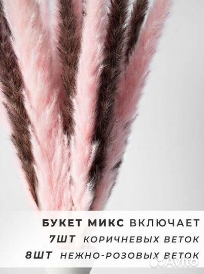 Сухоцветы букет, Пампасная трава