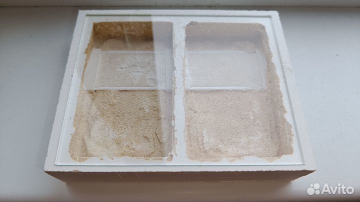 Формикарии для муравьев муравьиные фермы