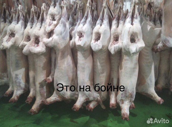 Баранина Дагестанская в Уфе